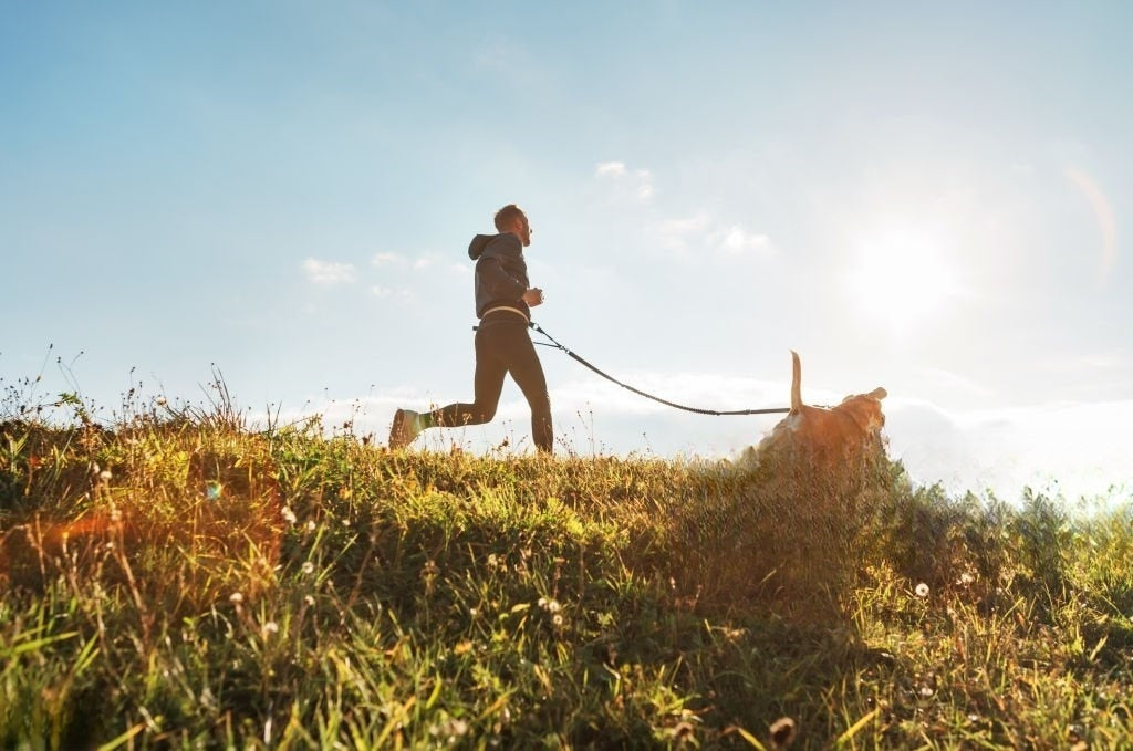 Fun Spring Dog Adventures: A Retailer’s Guide to Boosting on Seasonal Pet Gear Trends