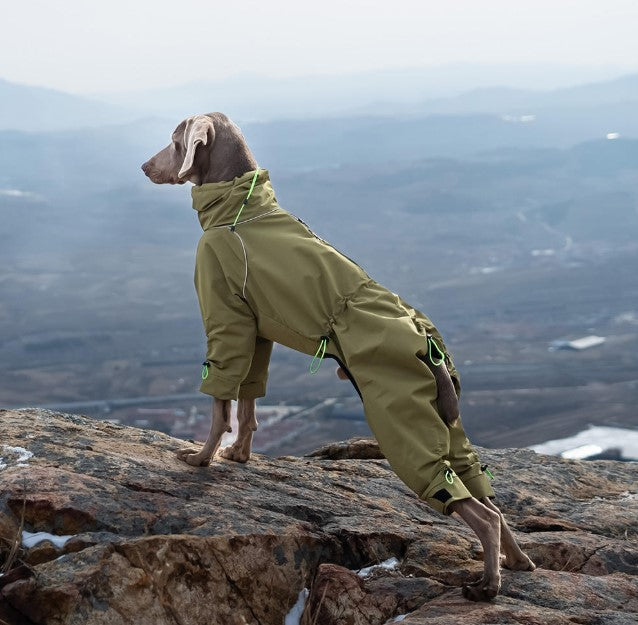 All-Weather Dog Jacket