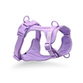 Padded Vest Cat Harness and Leash Set - full set