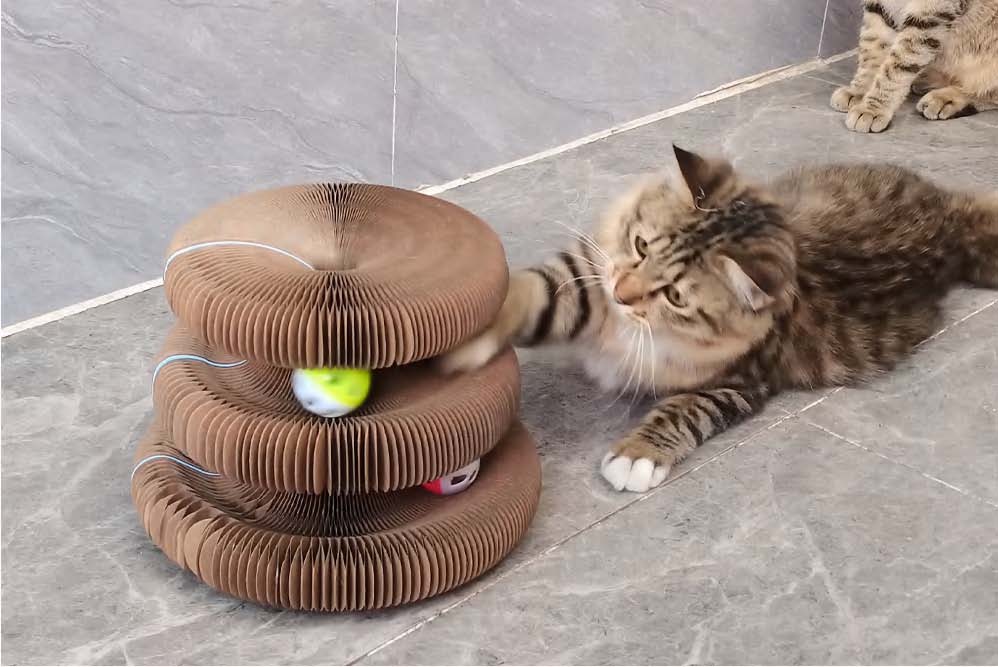 Accordion Cat Scratcher Toy - cat playing with track ball