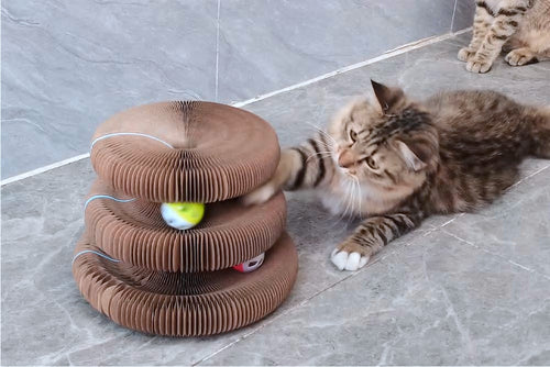 Accordion Cat Scratcher Toy - cat playing with track ball