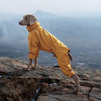 All-Weather Dog Jacket
