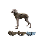 Insulated Dog Jacket