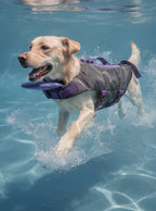 Dog Life Jacket