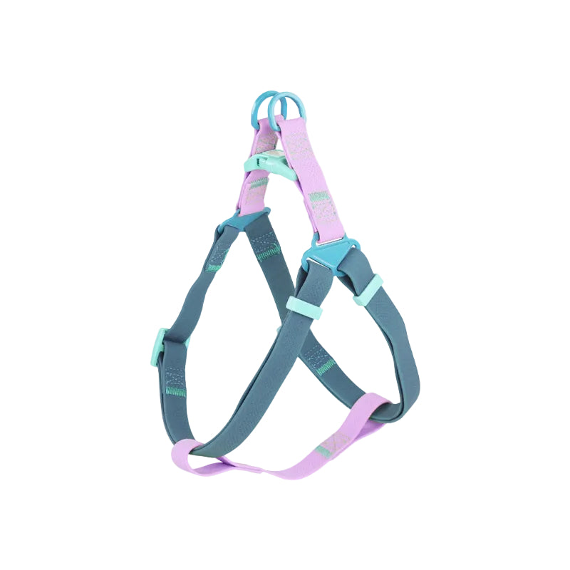 Stylish PVC Dog Harness - Blue