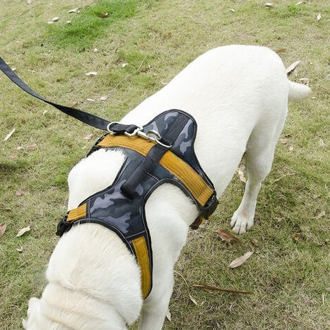 Everyday Dog Harness