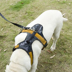 Everyday Dog Harness