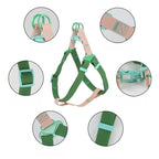 Stylish PVC Dog Harness - Purple