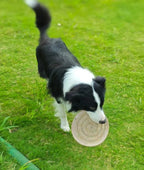 Eco-Friendly Jute Dog Flying Disc