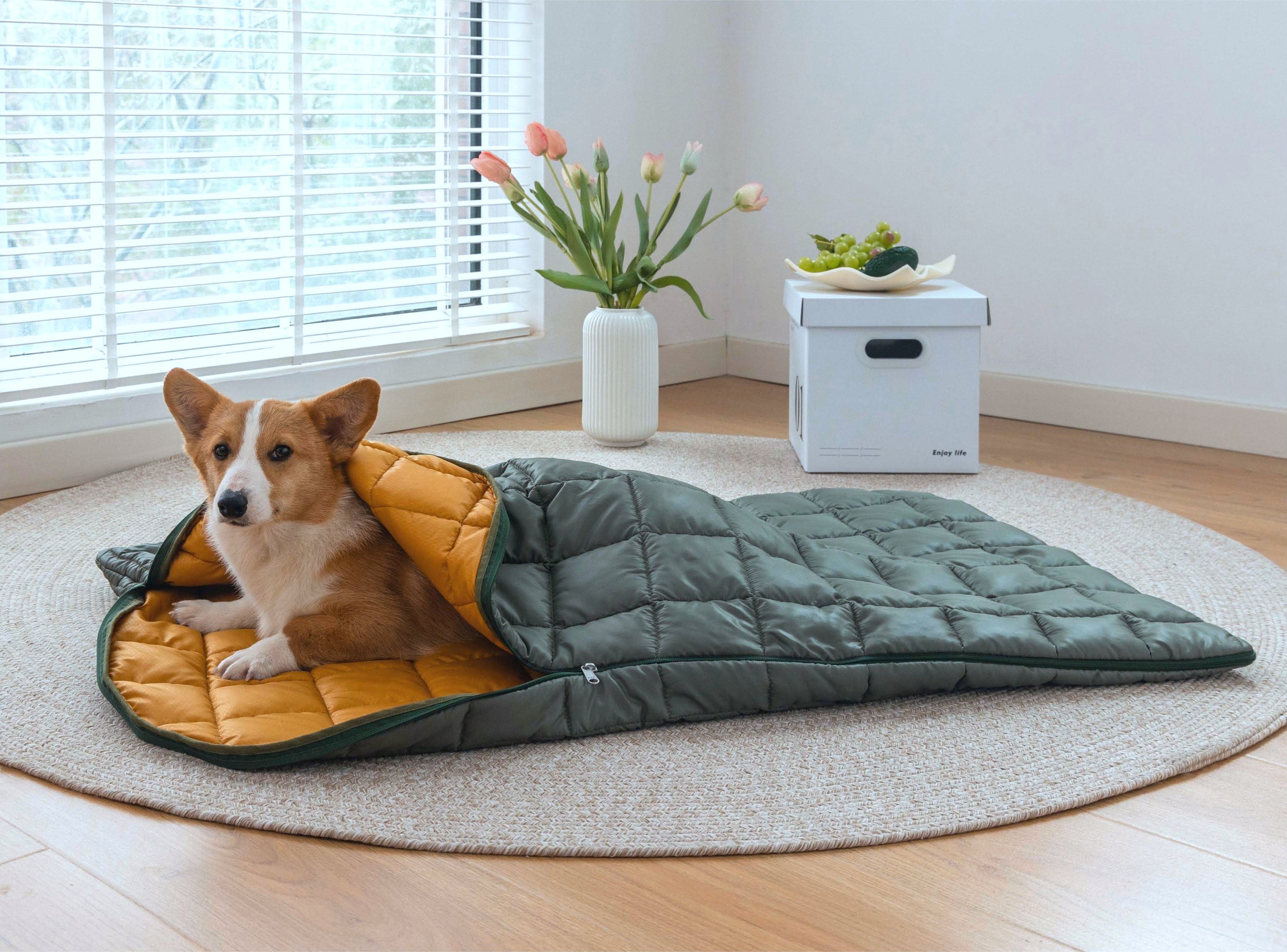 Pet Sleeping Bag — Classic