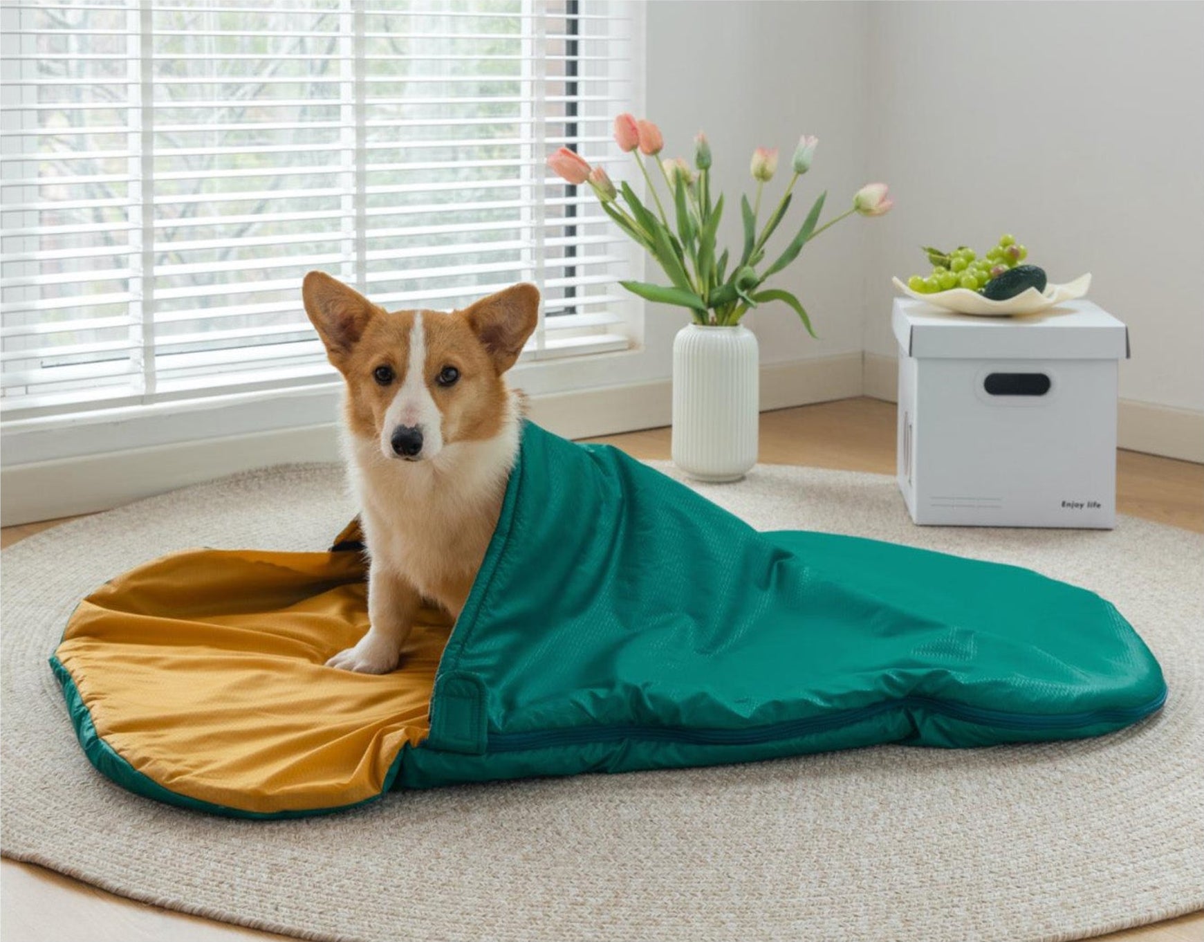 Pet Sleeping Bag — Ultralight