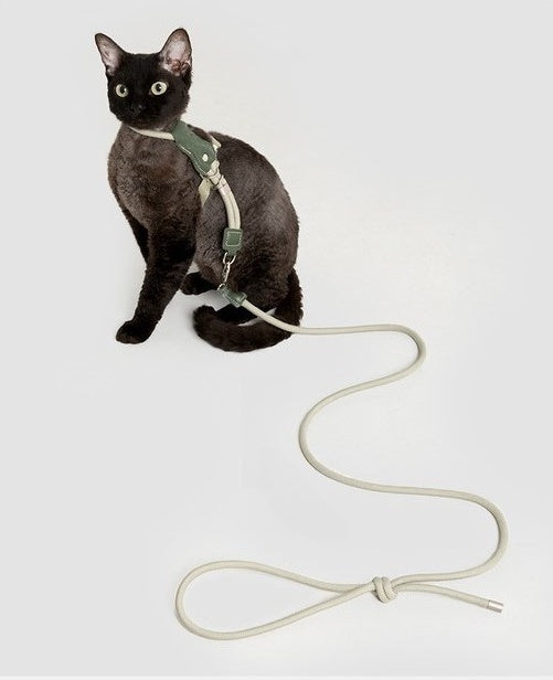 Leather-Trim Rope Cat Harness and Leash - worn